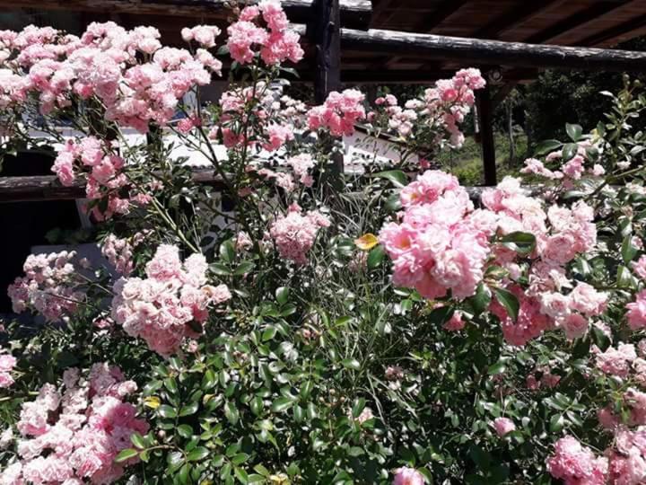 Il Casalino Bed & Breakfast Pianoro Eksteriør bilde